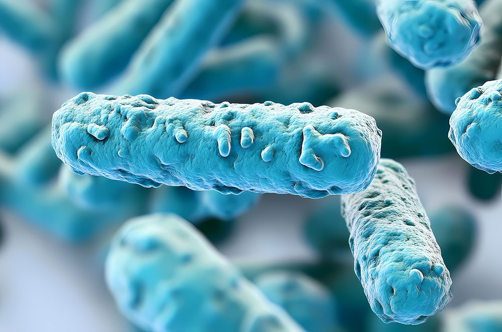 Microbial Structures Under Microscope
